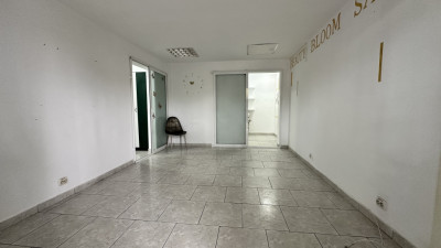 Comision 0: Spatiu comercial cu vad pietonal, intrare din strada