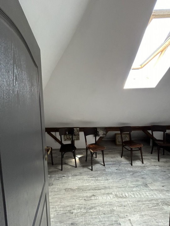 Apartament 6 camere + loft, 200mp in vilă superbă  pe Vasile Lascăr 90