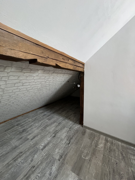 Apartament 6 camere + loft, 200mp in vilă superbă  pe Vasile Lascăr 90